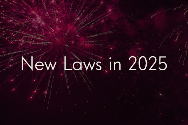 Red fireworks on the night sky overlaid with the title of the blog post: New Laws in 2025